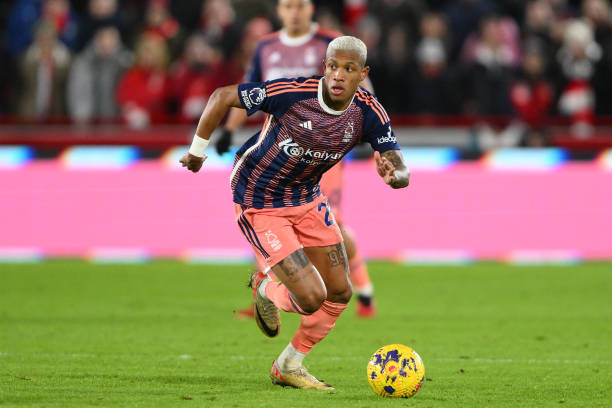 但他却毅然 但他却毅然